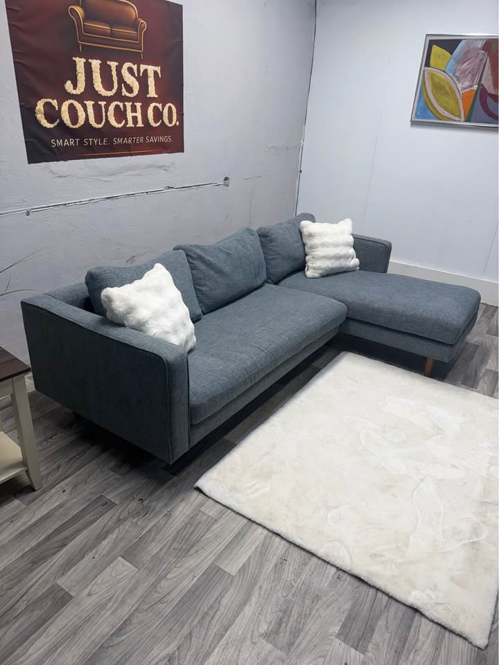 Article 2 Piece Blue Sectional Couch